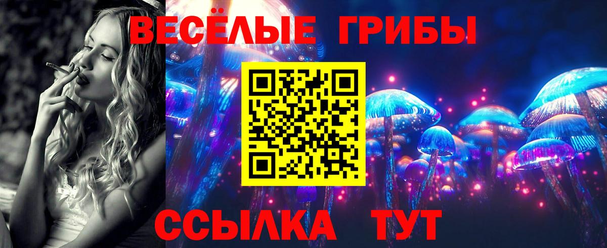 наркотики  Псилоцибиновые грибы Magic Shrooms  Вход с VPN  Галлюциногенные грибы Psilocybine cubensis  Мурино 